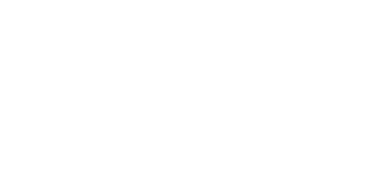 Fontys-logo-wit-2